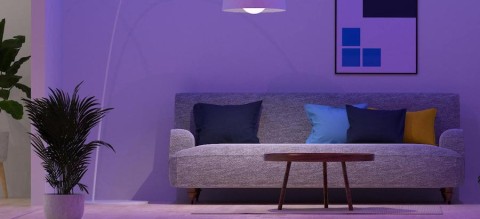 LUCCON_JulyBlog1_Liteline_OttawaON_photo